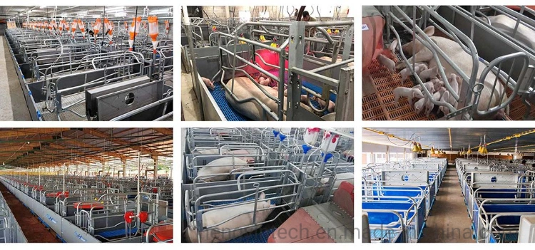 Pig Farm Equipment Farrowing Crate Animal Cages Other Husbandry Equipment