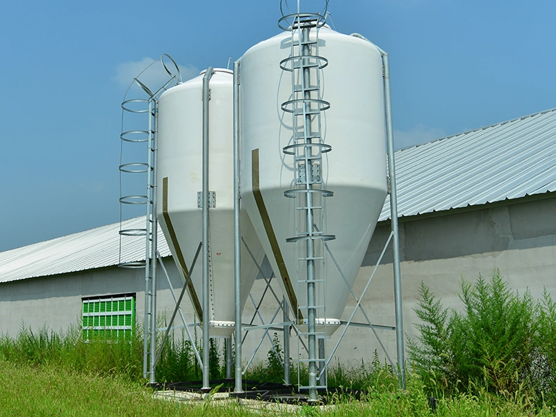 Breeder Chicken Chain Feeding Line Corner Wheel Poultry Feeding System