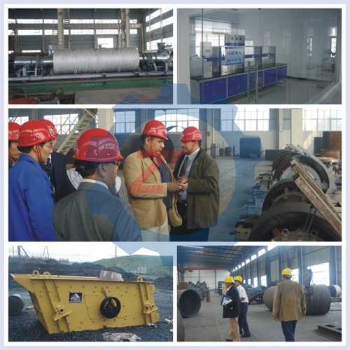 Lead-Zinc Ore Beneficiation Factory Equipment